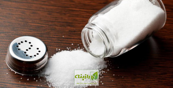 تاثیر نمک در عادت غذایی